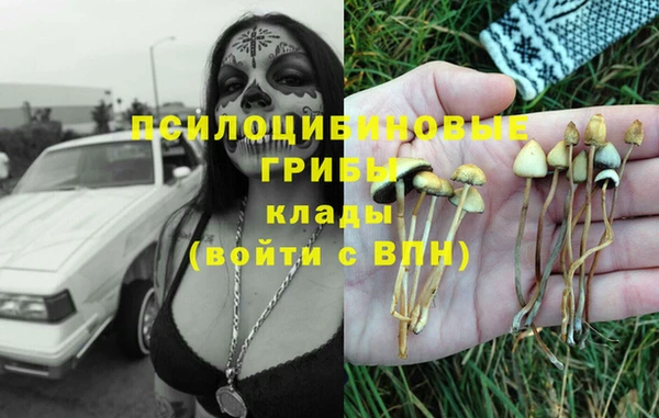 прущая мука Арсеньев